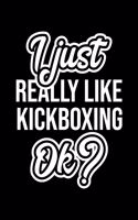 I Just Really Like Kickboxing Ok?: Christmas Gift for Kickboxing lover - Funny Kickboxing Journal - Nice 2019 Christmas Present for Kickboxing - 6x9inch 120 pages