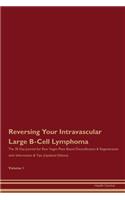 Reversing Your Intravascular Large B-Cell Lymphoma: The 30 Day Journal for Raw Vegan Plant-Based Detoxification & Regeneration with Information & Tips (Updated Edition) Volume 1