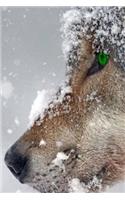 Winter Journal: Closeup Sideview Wolf Green Eyes, Soft Cover, Ruled Notebook/Journal/Diary (257 P. 6x9)