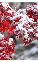 Journal Japanese Maple Winter Snow: (Notebook, Diary, Blank Book)