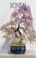 Bonsai: 2020 Square Wall Calendar