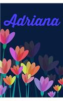 Adriana: Personalised Homework Book Notepad Notebook Composition and Journal Gratitude Diary
