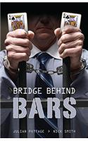Bridge Behind Bars
