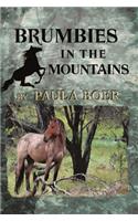 Brumbies in the Mountains