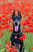Doberman Pinscher Sitting by the lake Journal