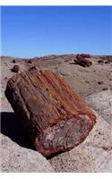 Petrified Wood Notebook