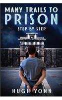 Many Trails to Prison: Step by Step