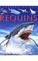 Requins