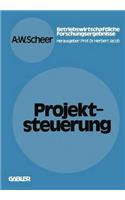 Projektsteuerung