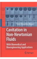 Cavitation in Non-Newtonian Fluids