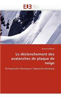 Le D�clenchement Des Avalanches de Plaque de Neige