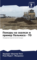 Пожары на свалках и пример Пальмаса - ТО