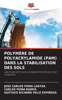 Polymère de Polyacrylamide (Pam) Dans La Stabilisation Des Sols
