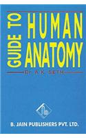 Guide to Human Anatomy