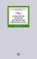 Conceptos básicos de derecho procesal civil / Basics concepts of civil procedural law
