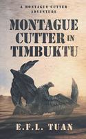 Montague Cutter in Timbuktu
