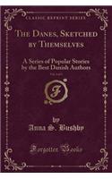 The Danes, Sketched by Themselves, Vol. 2 of 3: A Series of Popular Stories by the Best Danish Authors (Classic Reprint)