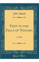 Visit to the Falls of Niagara: In 1800 (Classic Reprint)