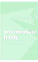 Intermediate Irish: A Grammar and Workbook
