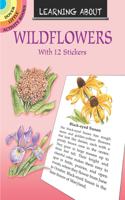 Learning about Wildflowers