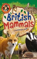 Nature Detective: British Mammals
