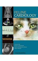 Feline Cardiology