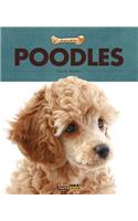 Poodles