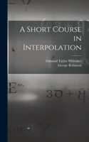 Short Course in Interpolation