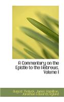 A Commentary on the Epistle to the Hebrews, Volume I