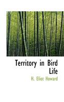 Territory in Bird Life