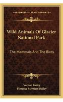 Wild Animals of Glacier National Park