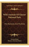 Wild Animals Of Glacier National Park