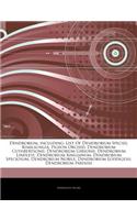 Articles on Dendrobium, Including: List of Dendrobium Species, Kimilsungia, Pigeon Orchid, Dendrobium Cuthbertsonii, Dendrobium Gibsonii, Dendrobium L