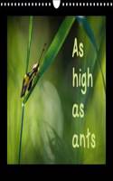 As High as Ants 2017: Macrophotographs of Insects of the Pyrenees(Calvendo Places)