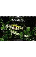 Snakes / UK-Version 2018