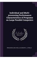 Individual and Multi-processing Performance Characteristics of Programs on Large Parallel Computers