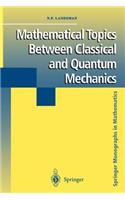 Mathematical Topics Between Classical and Quantum Mechanics