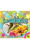 Colibríes