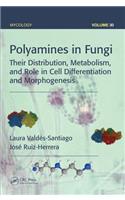 Polyamines in Fungi