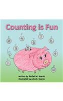 Counting is Fun