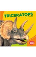 Triceratops