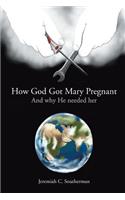 How God Got Mary Pregnant