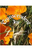 Transcendent Joy