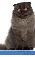 Scottish Fold Cat Presents: Cat Facts Workbook. Scottish Fold Cat Presents Cat Facts Workbook with Self Therapy, Journalling, Productivity Tracker with Self Therapy, Journallin
