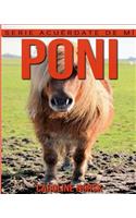 Poni: Libro de imágenes asombrosas y datos curiosos sobre los Poni para niños