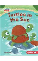 Turtles in the Sun