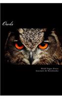 Owls (Journal / Notebook)