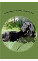 Como Educar a un Flat-Coated Retriever