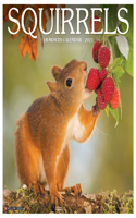 Squirrels 2021 Wall Calendar