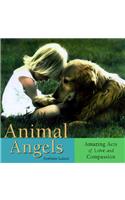Animal Angels